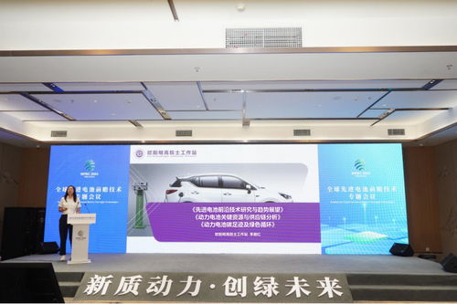 全球先進電池前沿技術研討會在宜賓舉行，樹立電子科技領域風向標