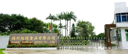 金獎企業旭煌食品 巧用科技助力，讓魚丸的國際旅程更遠